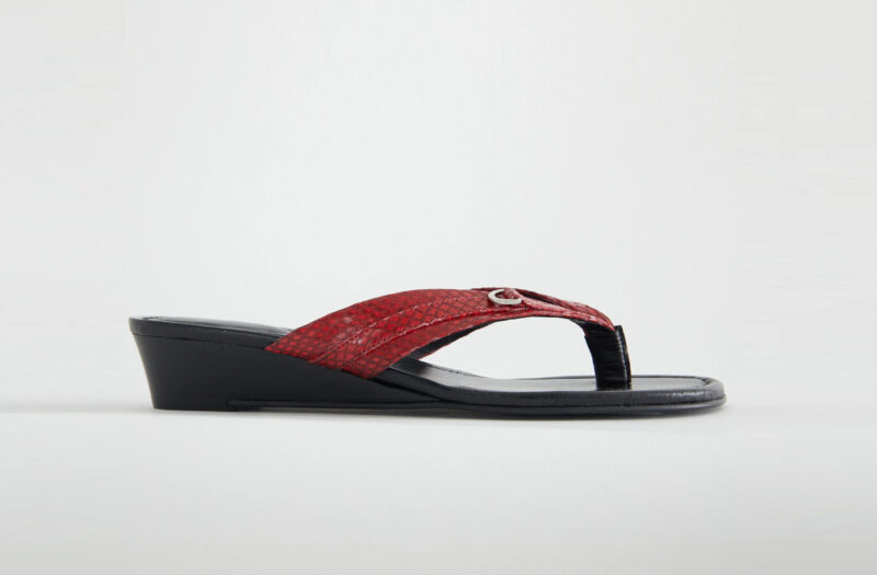 Fellipa Red - Paloma wool (pre order)